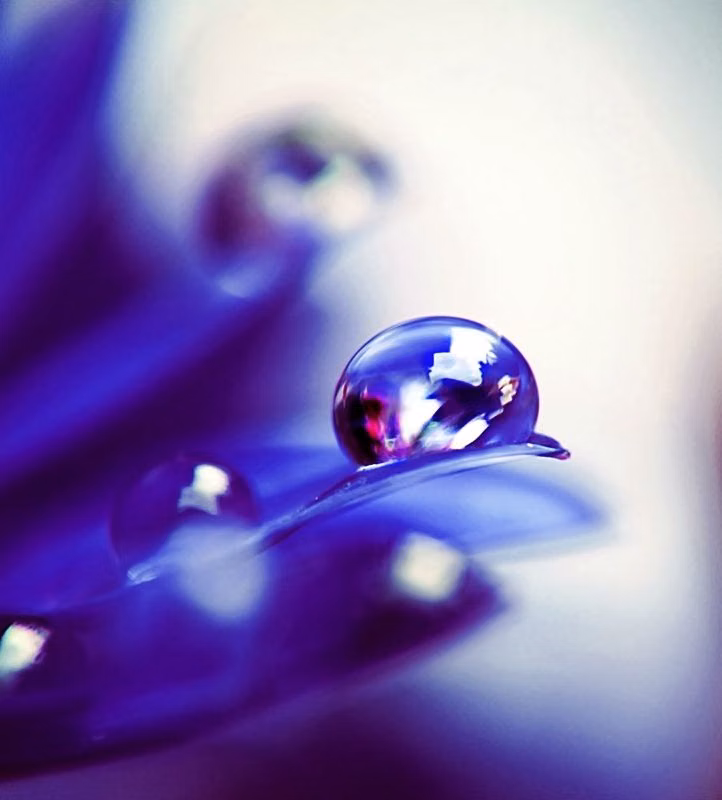 blue water droplets macro glossy photograph - Blue Crystal