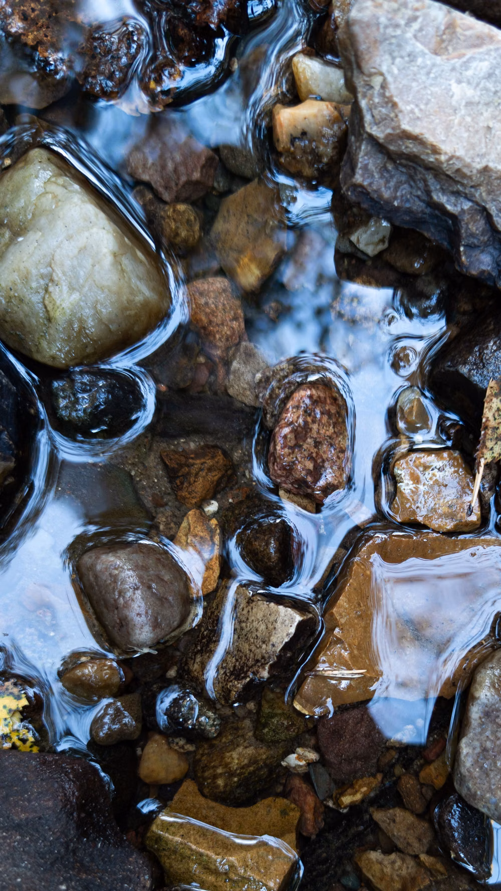 clear flowing stream stones close up photograph - Smooth, water-worn rocks and pebbles are partially submerged in a shallow stream, reflecting the light on their wet surfaces. Varied shapes and sizes are visible among the stones, creating a natural mosaic. #rocks #water #reflections #nature #stream #stones #pebbles #flowing #water #natural #serene #outdoors #tranquility #riverbed #wet #smooth #stones #flow #clear #submerged