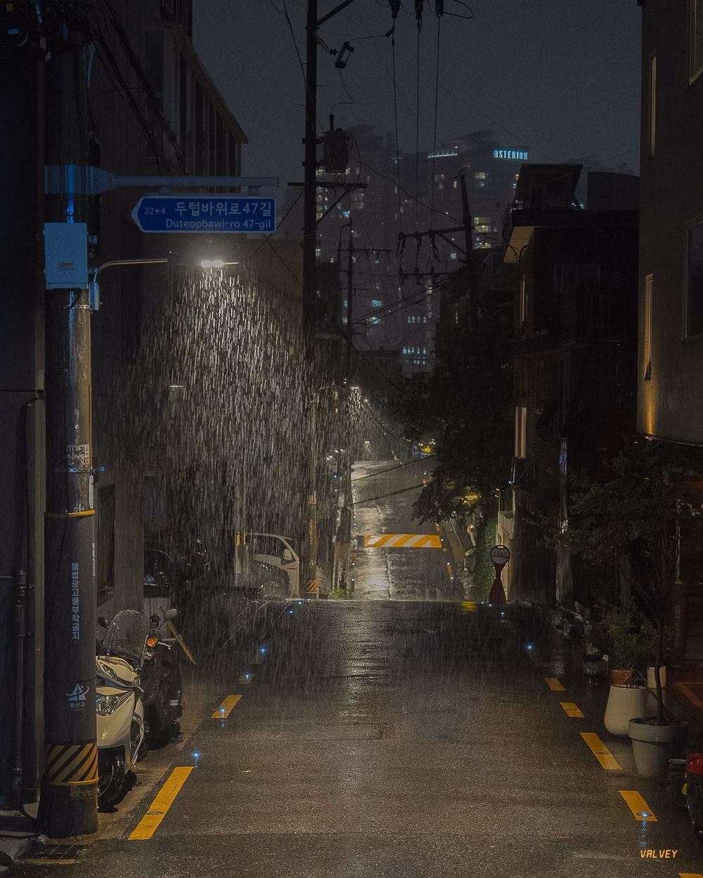 dense Japanese city signs rainy night photograph -