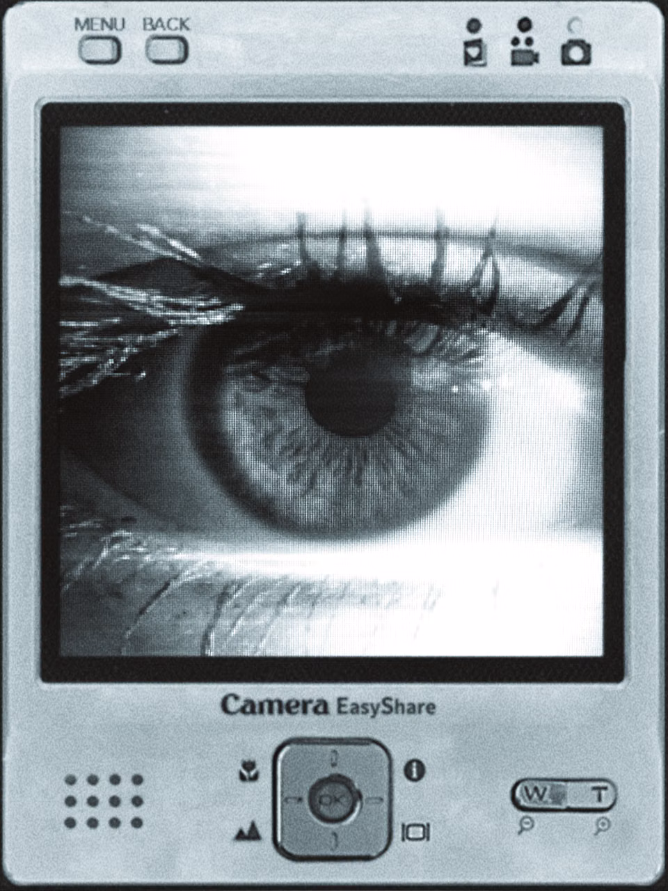 digital camera corrupted image artifact - 