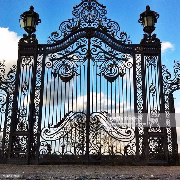 ornate black wrought iron gate close up - Wrought Iron Main Gate