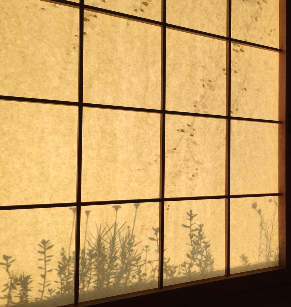 shoji paper fibers sunlight close up photograph - sun set