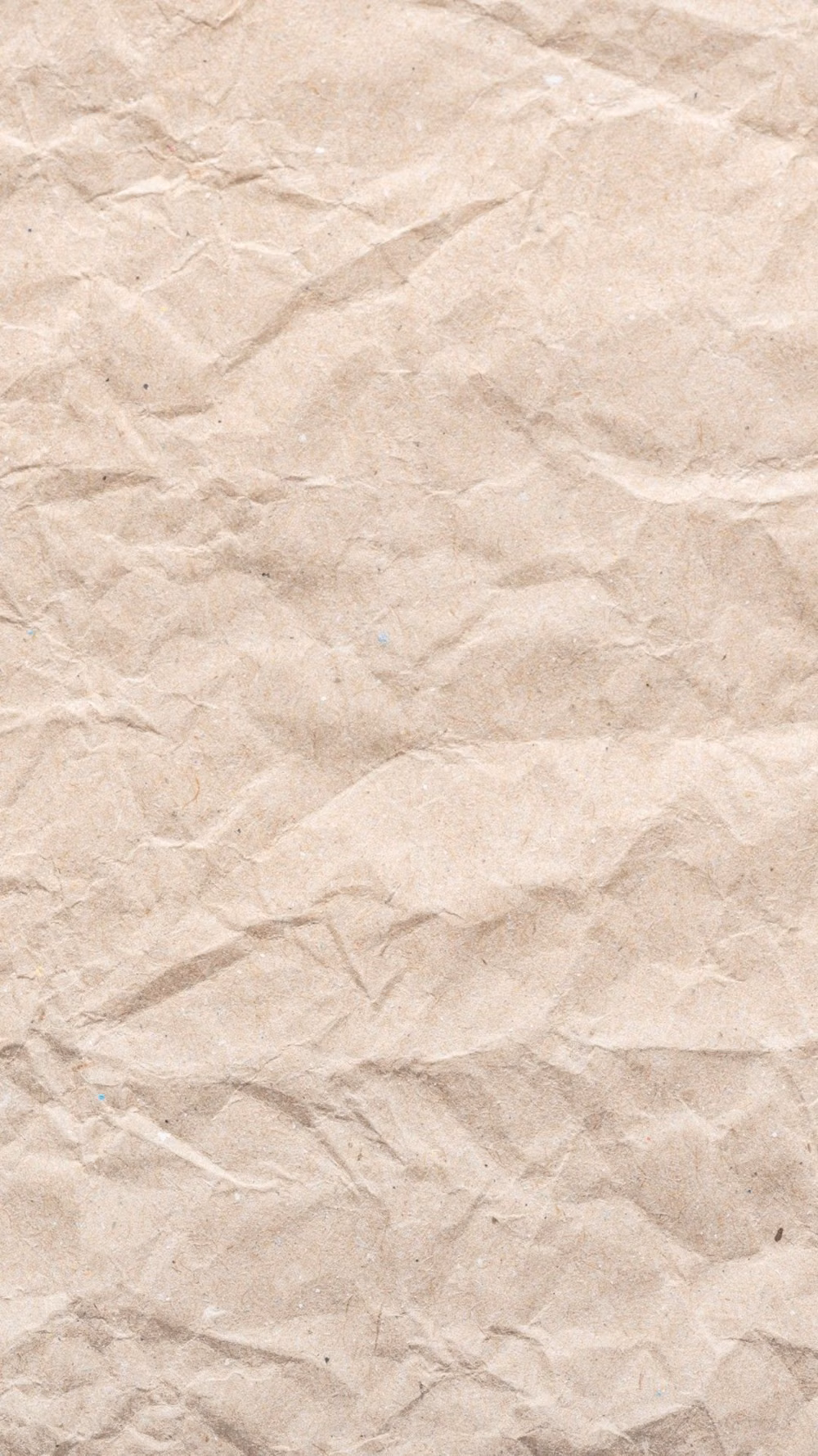Material Design aesthetic -