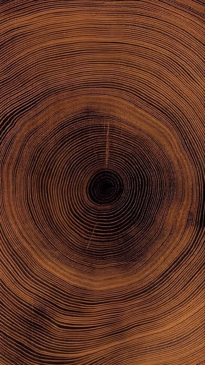 Real-Wood Skeuomorphism aesthetic - 