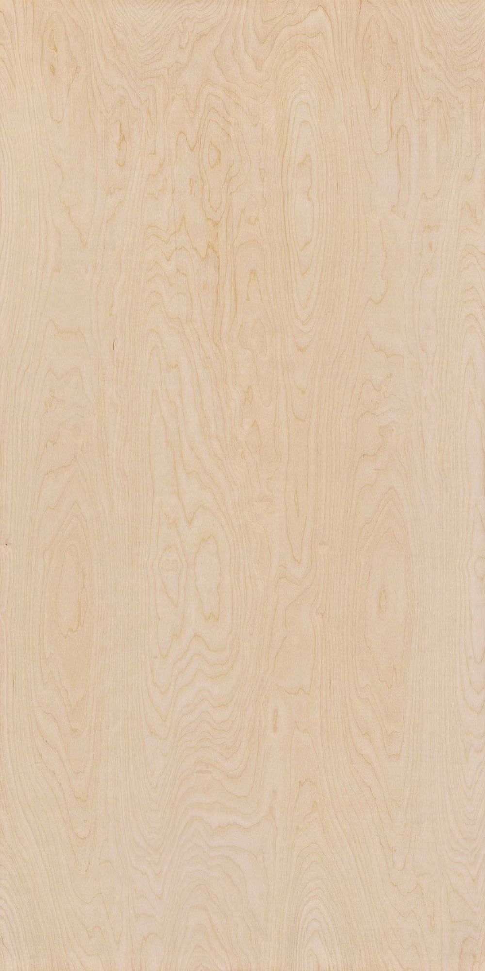 birch plywood edge grain close up photograph -