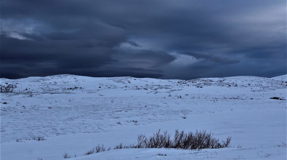 quiet snowy Nordic landscape photograph -