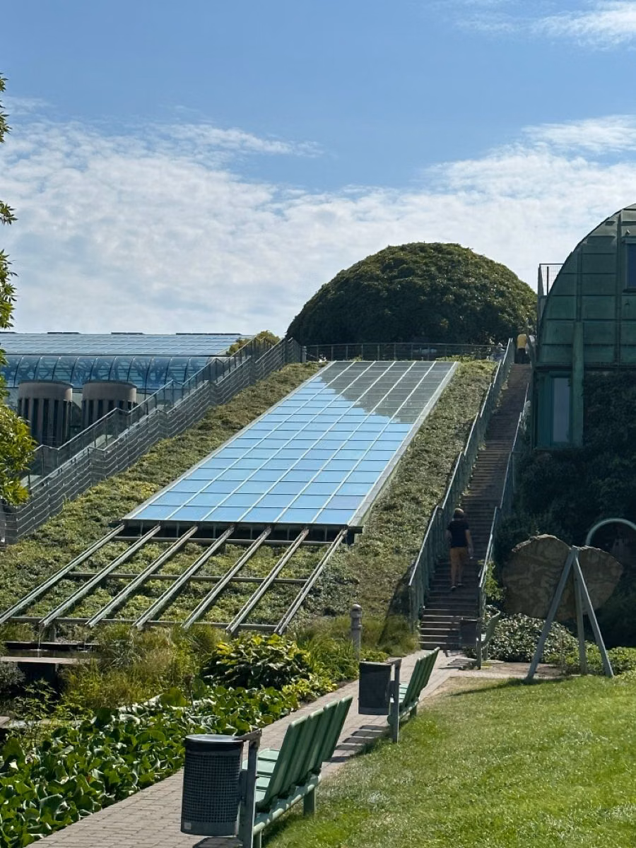 biodiverse green roof city photograph -